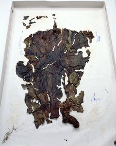 Legginsy znalezione z Oetzi Iceman (kozia skóra)